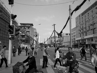 _1090312.jpg