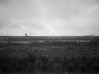 _1090227.jpg