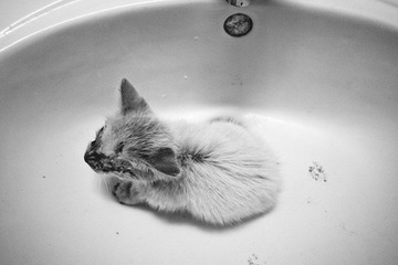 _1080541.jpg