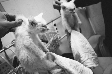 _1090049.jpg