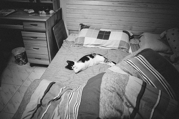 _1090096.jpg