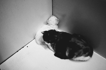 _1100590.jpg