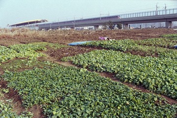 014副本.jpg