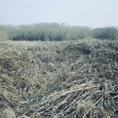 001010301.jpg
