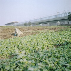 0100104副本.jpg