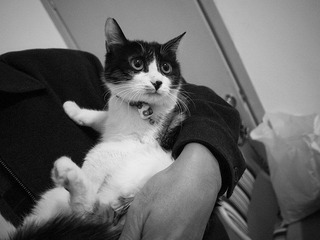 _1110042.jpg