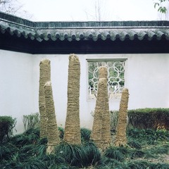 0170105副本.jpg