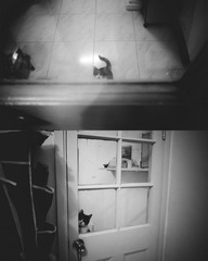 _1100925副本.jpg