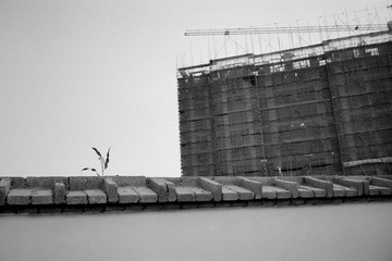 0521021_2.jpg