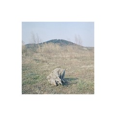 003 (2)0113副本.jpg