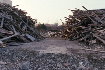 013`.jpg