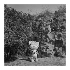 01026副本.jpg