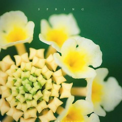 春。