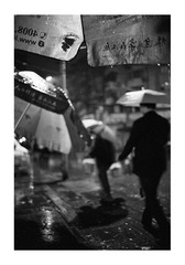 029副本.jpg