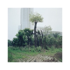 027705副本.jpg