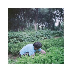 015990副本.jpg