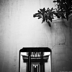 小生活，甘家大院。