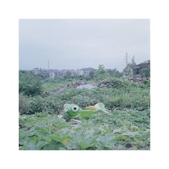 0131024副本.jpg