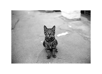 Scan-120909-0021副本.jpg