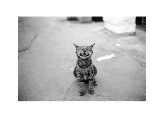 Scan-120909-0020副本.jpg