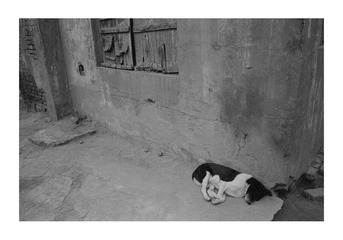 Scan-120925-0051副本.jpg