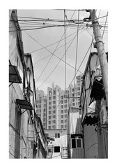 Scan-120916-0036副本.jpg
