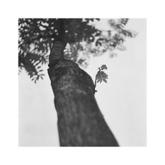 0101115副本.jpg