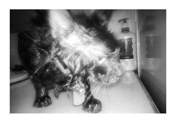 IMAG0432副本.jpg