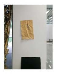 IMAG0210副本.jpg