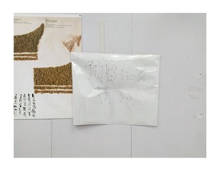 IMAG0196副本.jpg