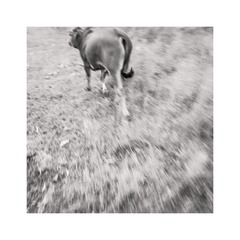 20131002_163659