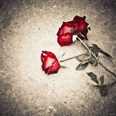  sad flower.