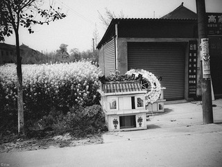 清明节的路边