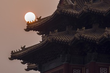 废墟里的生命