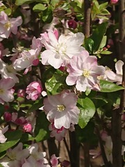 354