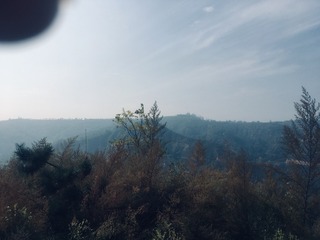 B49DBFEE-F8F0-4ED5-ABAE-F1CFED67B8A6/L0/001