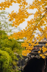 EB121254-A628-422B-9617-6D3DE588720F/L0/001