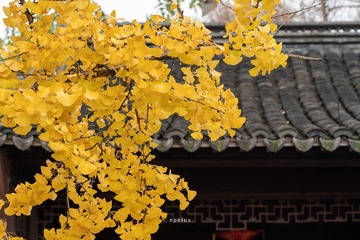 1C47D9A2-1F38-47BC-95D2-AE13B451B716/L0/001