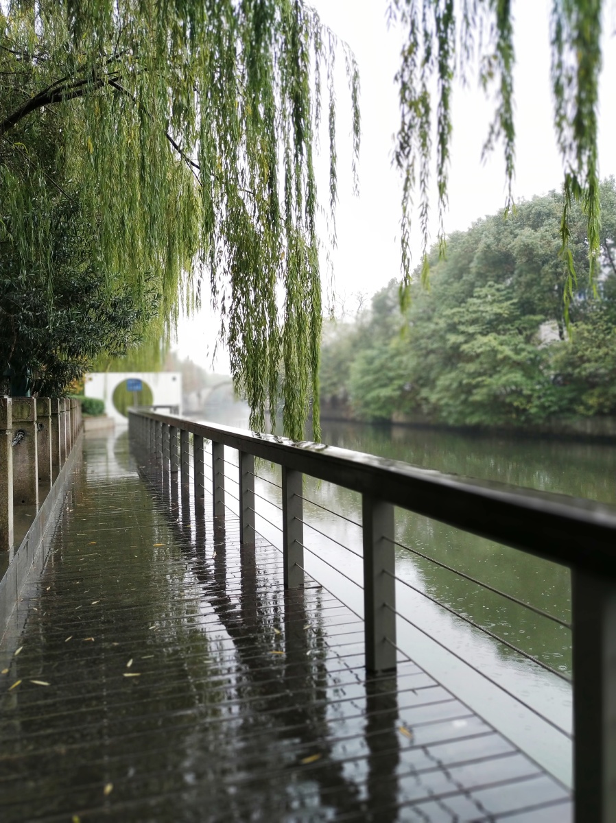下雨的城市有最美的红绿灯富有生命力的树叶安静长椅这是我们的城市