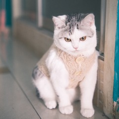 9242