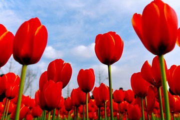 10B4A2E6-DD24-447C-993A-3C68A8578632/L0/001