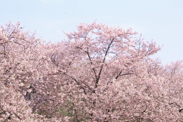 F665E006-68F8-4E58-B83D-7FECB354ED27/L0/001