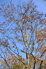 IMG_5075.jpg