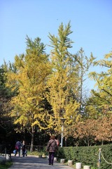 IMG_5076.jpg