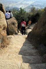 IMG_5221.jpg