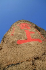 IMG_5214.jpg