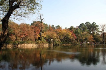 IMG_5240.jpg