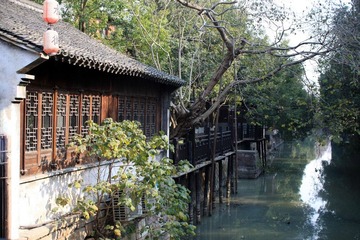 IMG_5776.jpg