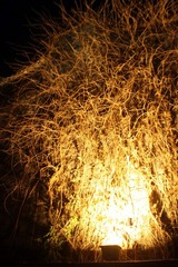 IMG_5922.jpg