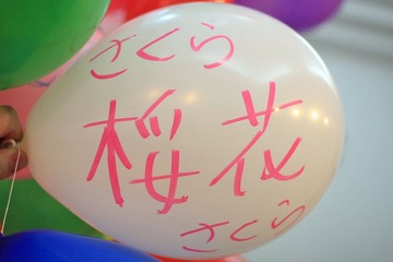 IMG_7442.jpg